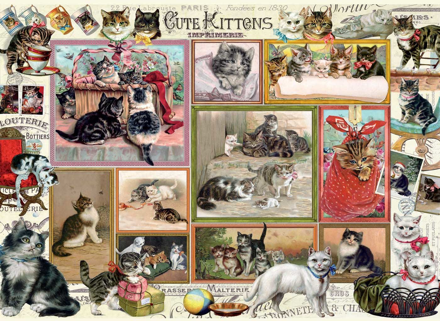 Cute Kittens & Comical Dogs Cats