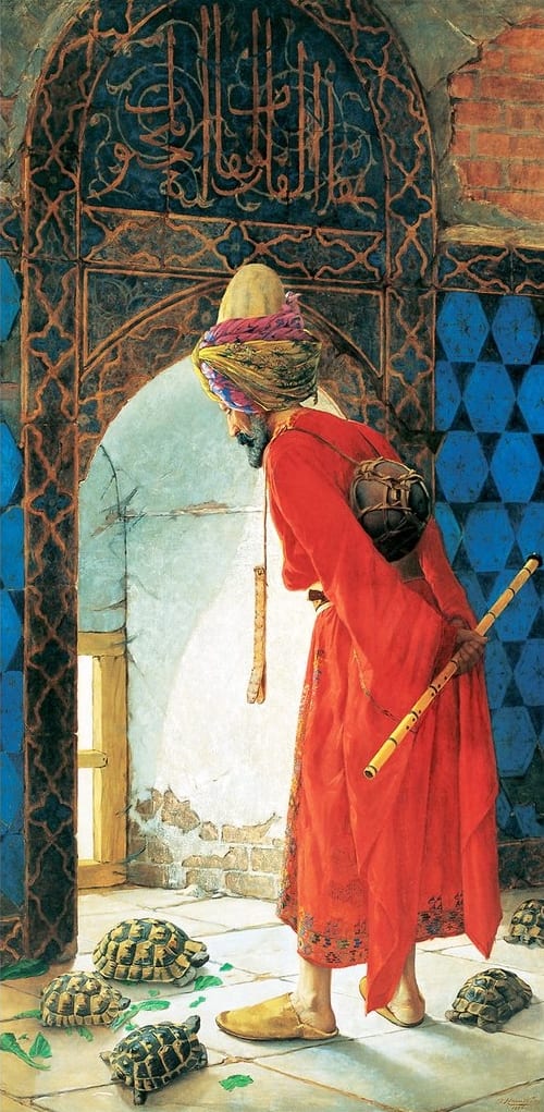 Turtle Trainer Reptile & Amphibian