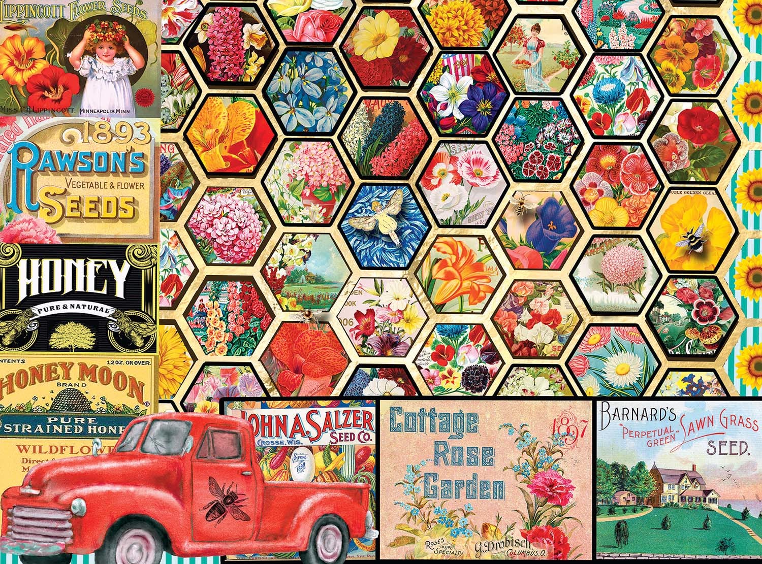 Honeycomb Flowers & Seeds Flower & Garden