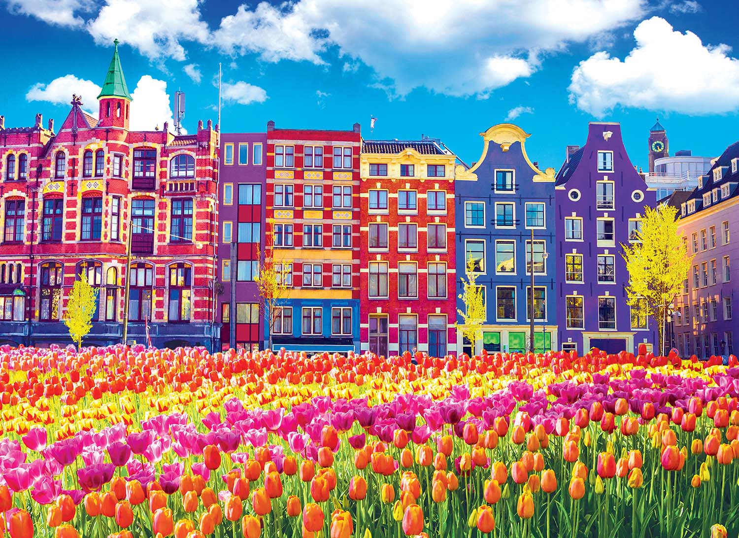Traditional Old Buildings And Tulips In Amsterdam Flower & Garden Jigsaw Puzzle
