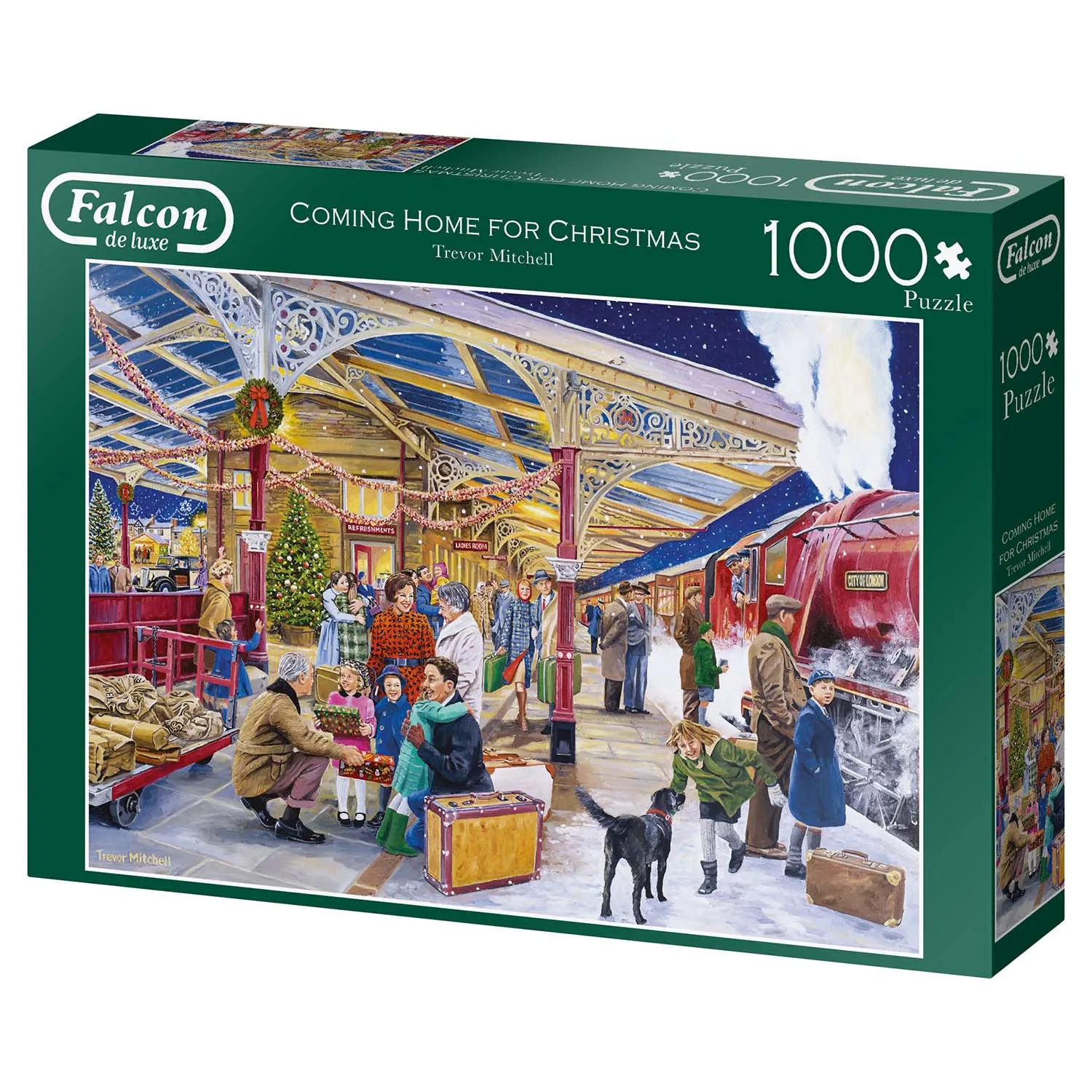 Coming Home for Christmas