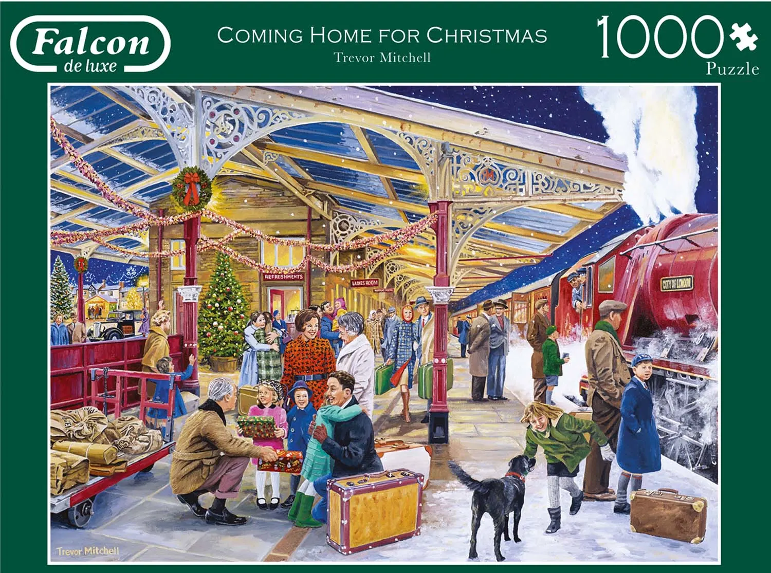 Coming Home for Christmas