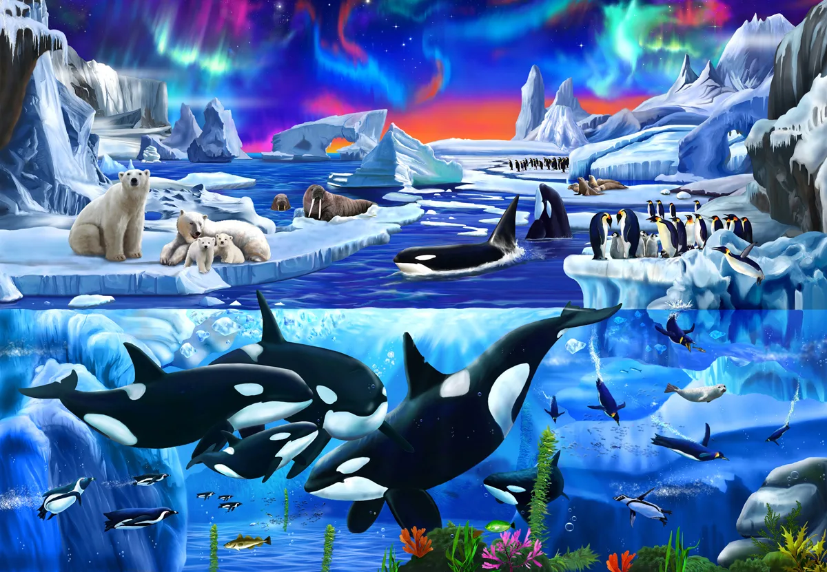 Frosty Friends Animals