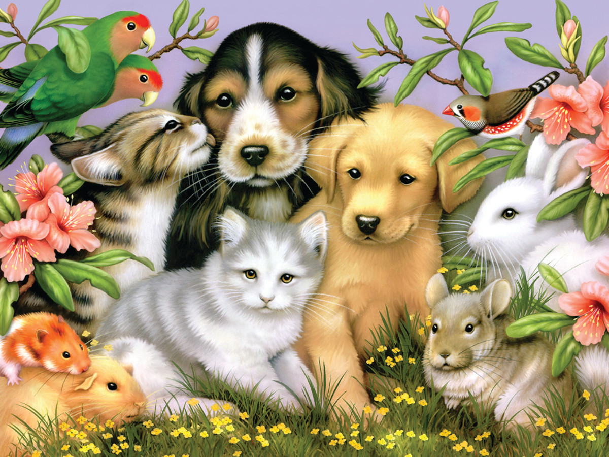 Loveable Pets Cats Jigsaw Puzzle