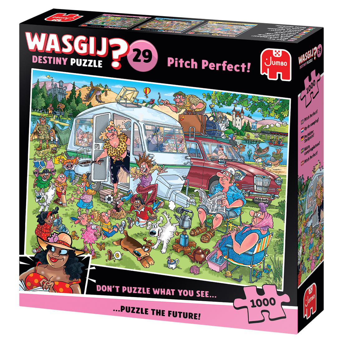 Wasgij Destiny 29: Pitch Perfect!