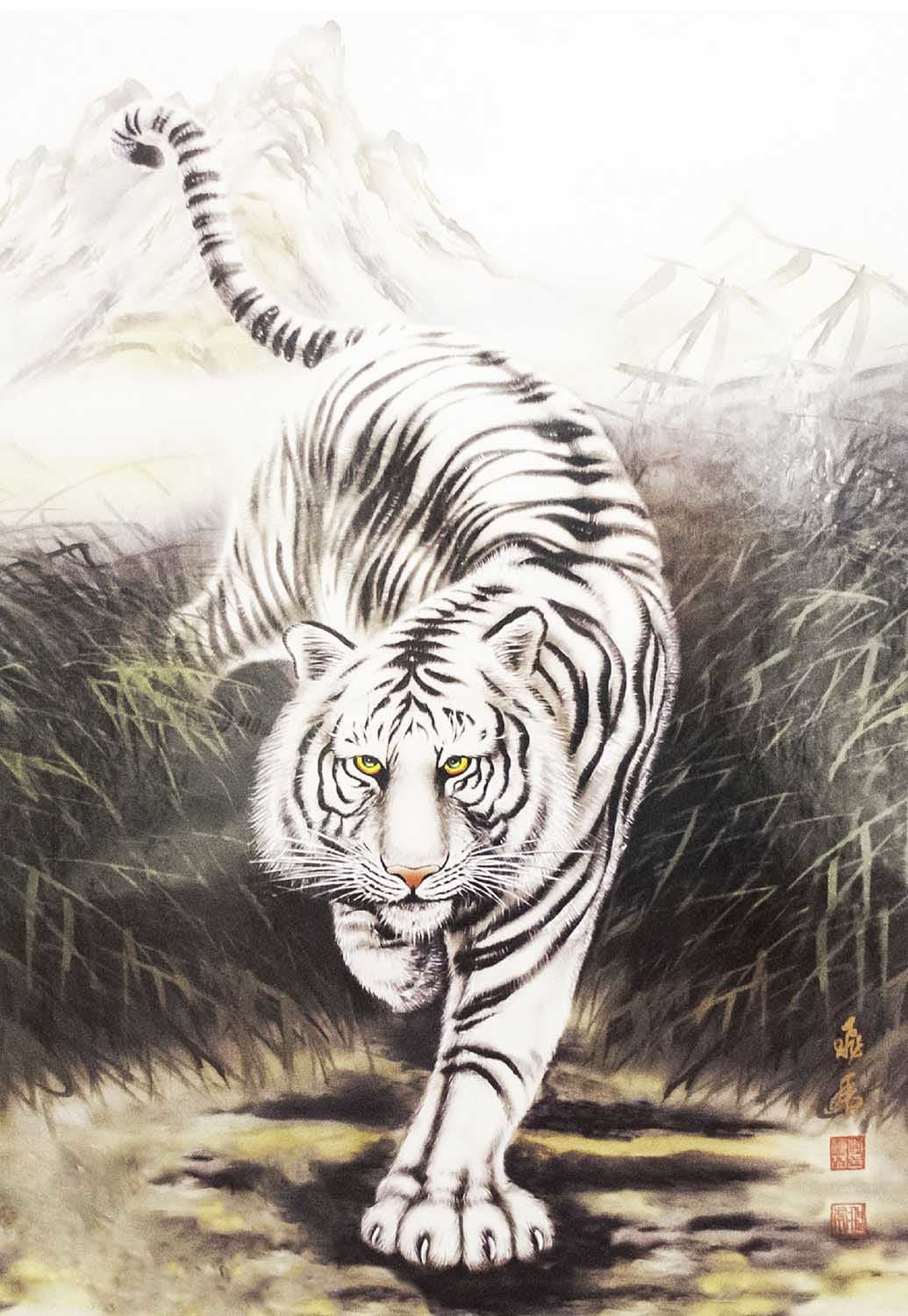 White Tiger Big Cats