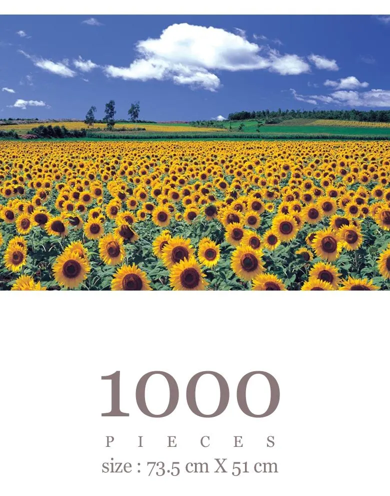 Sunflower Field 4