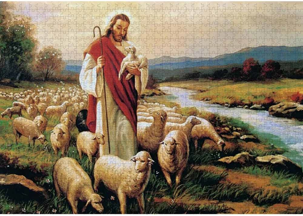 Jesus Sheep