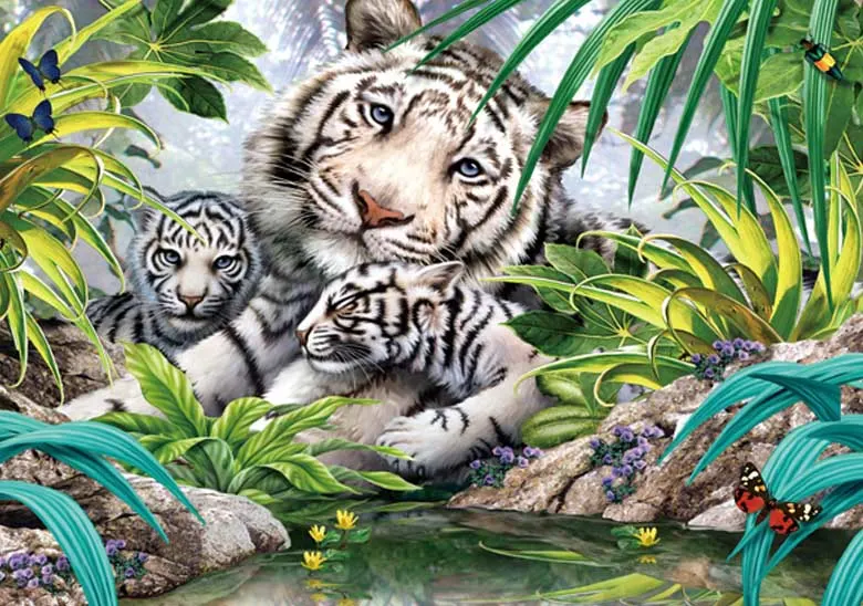 White Tiger Family Big Cats