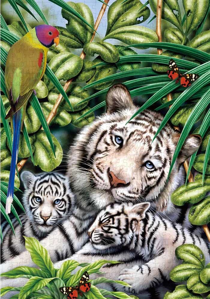 White Tiger Family 2 Big Cats
