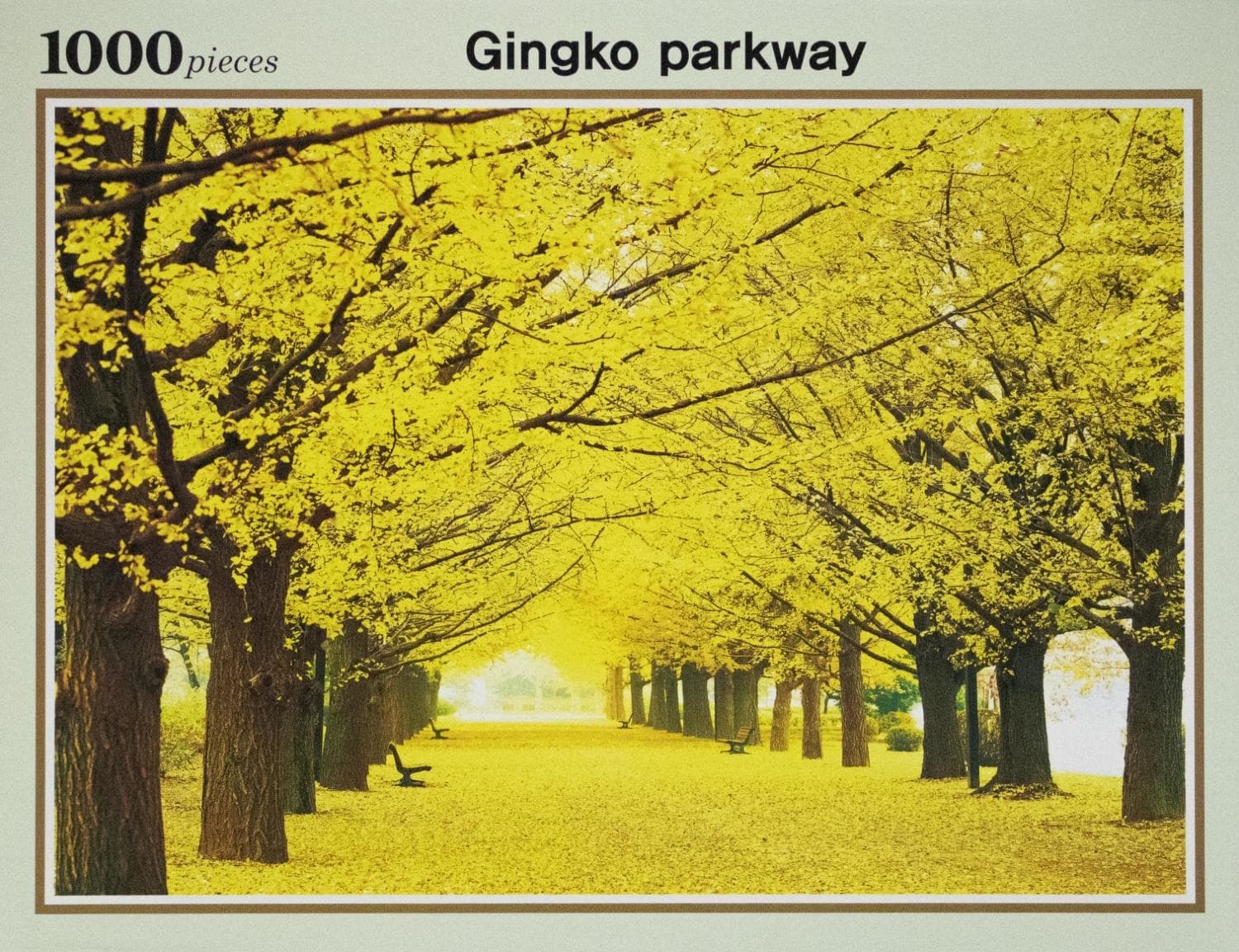 Ginko Parkway