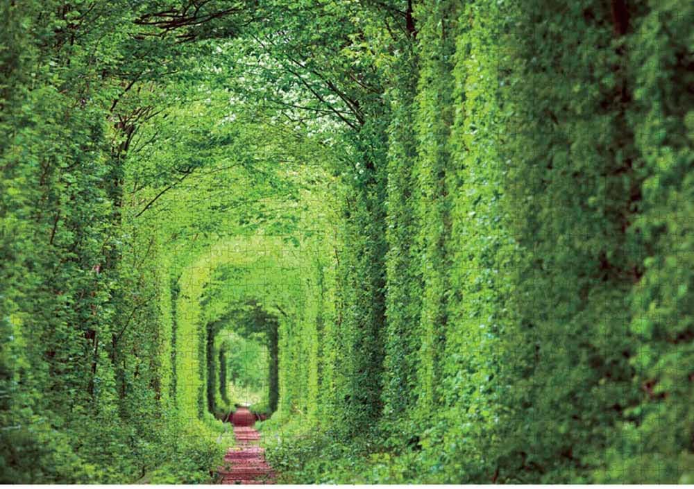Tunnel Of Love