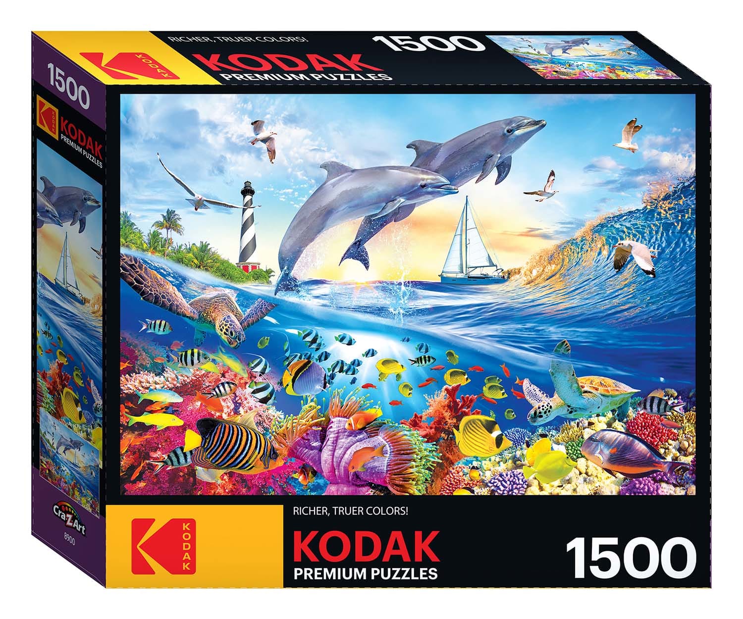 Playful Summer Dolphins