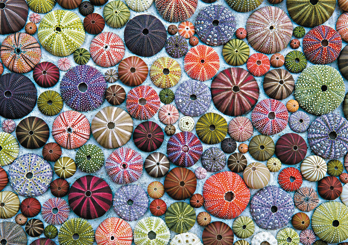 Sea Urchins Pattern & Geometric Jigsaw Puzzle