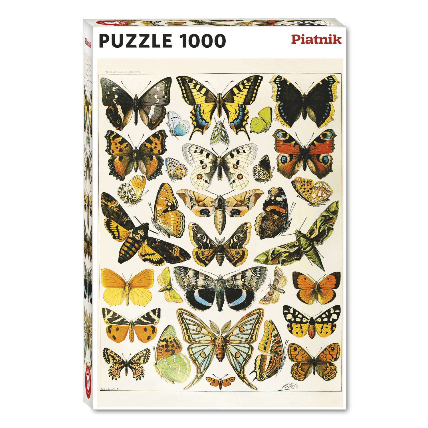 Butterflies and Moths