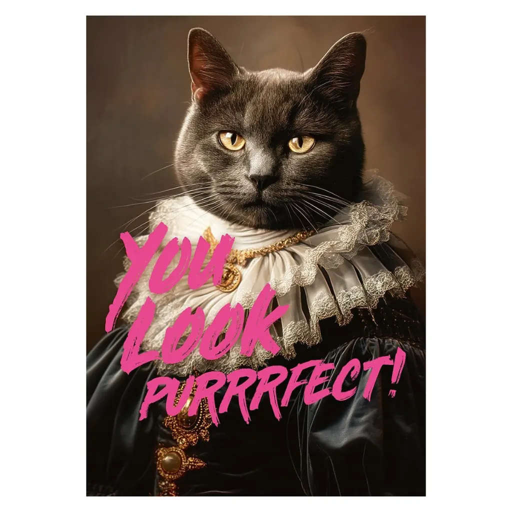 You Look Purrrfect!