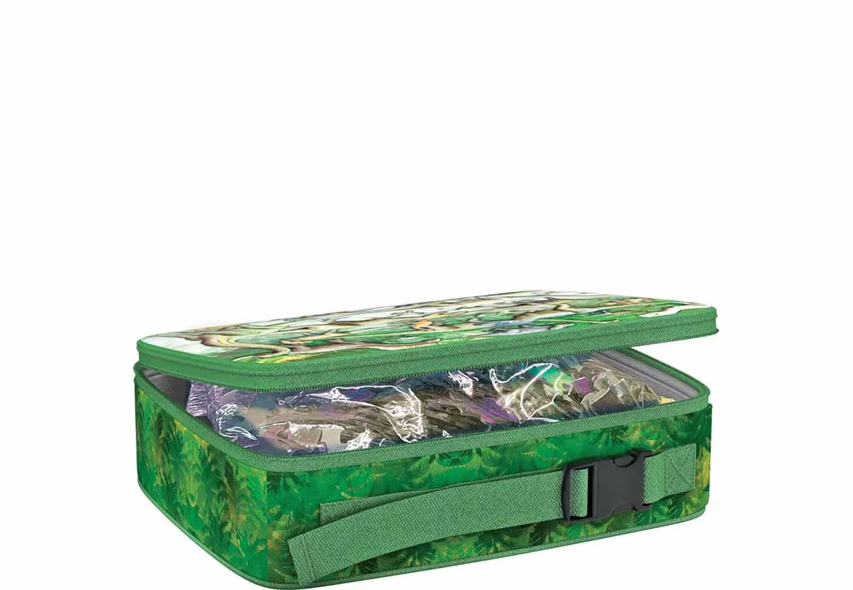Dinosaurs Puzzle in a Lunch Box