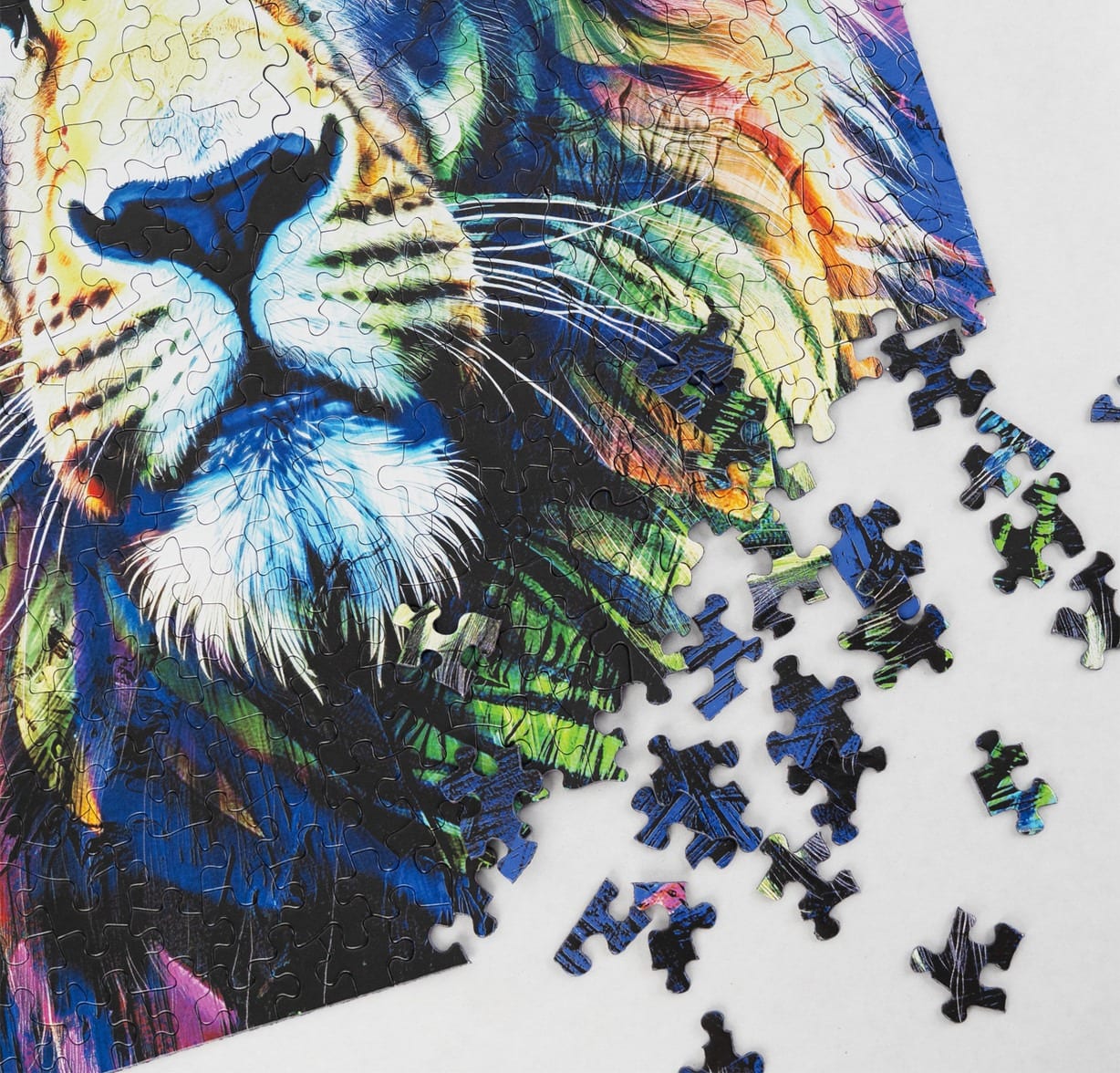 Brave Colors of a Lion