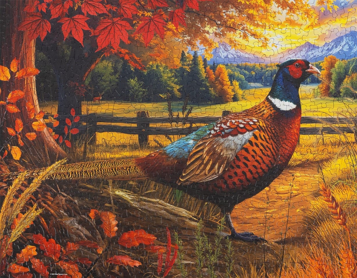 Golden Fields Pheasant