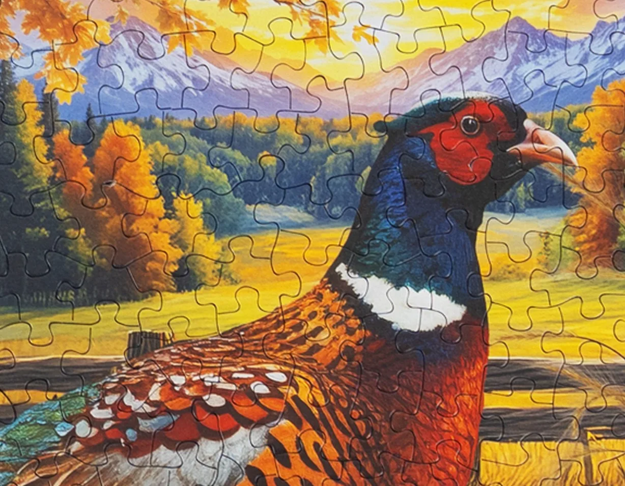 Golden Fields Pheasant
