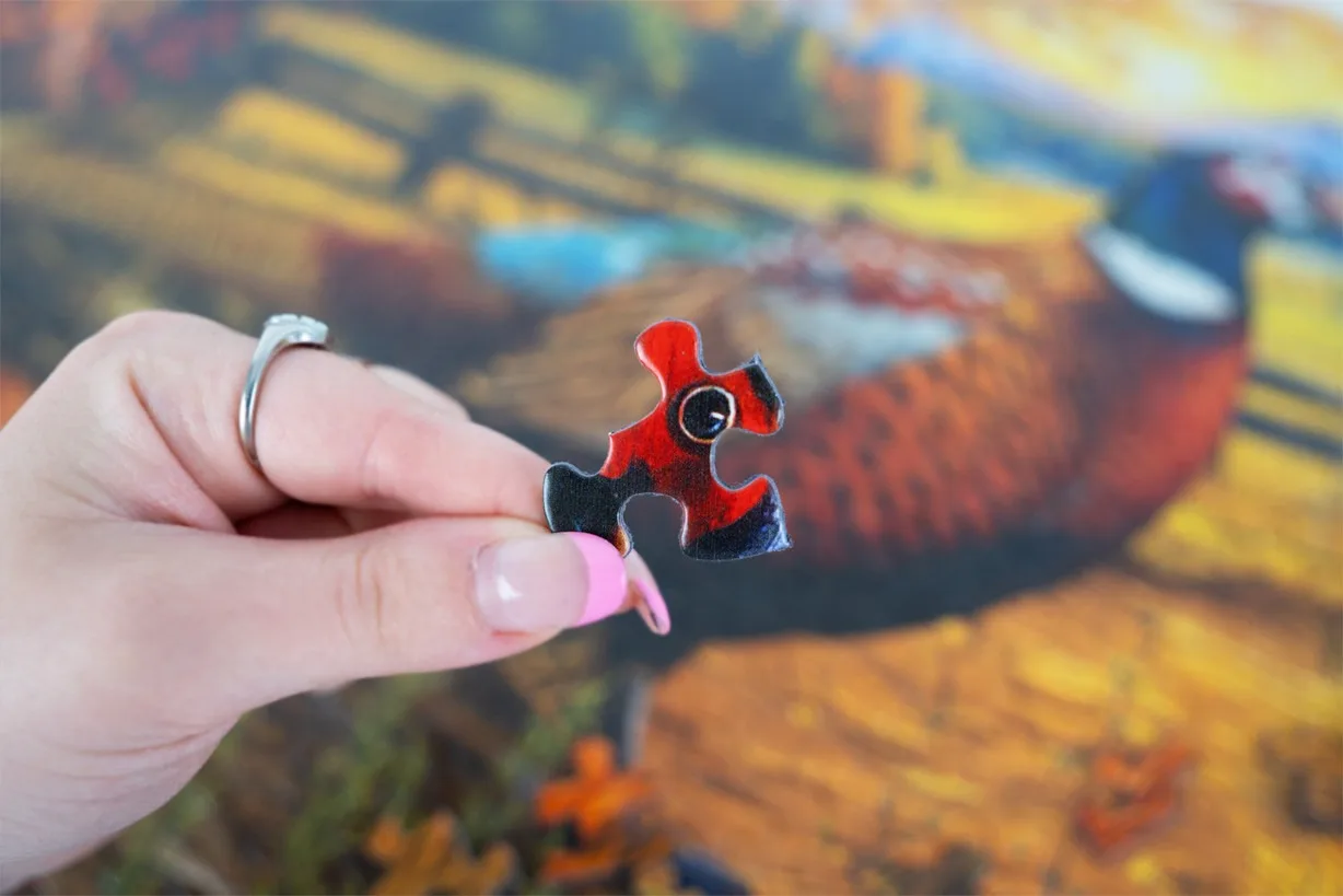 Golden Fields Pheasant