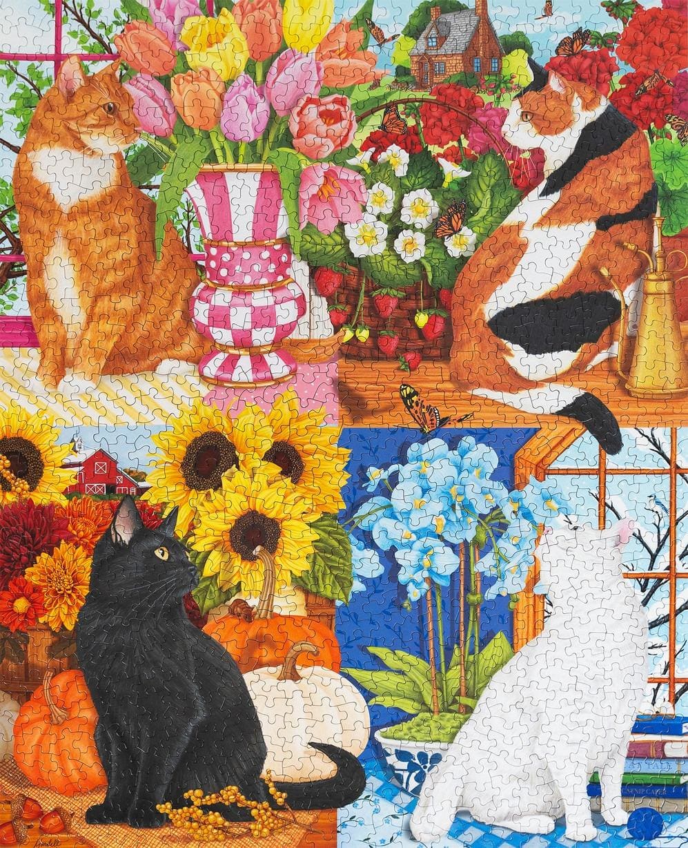 Four Seasons of Cats