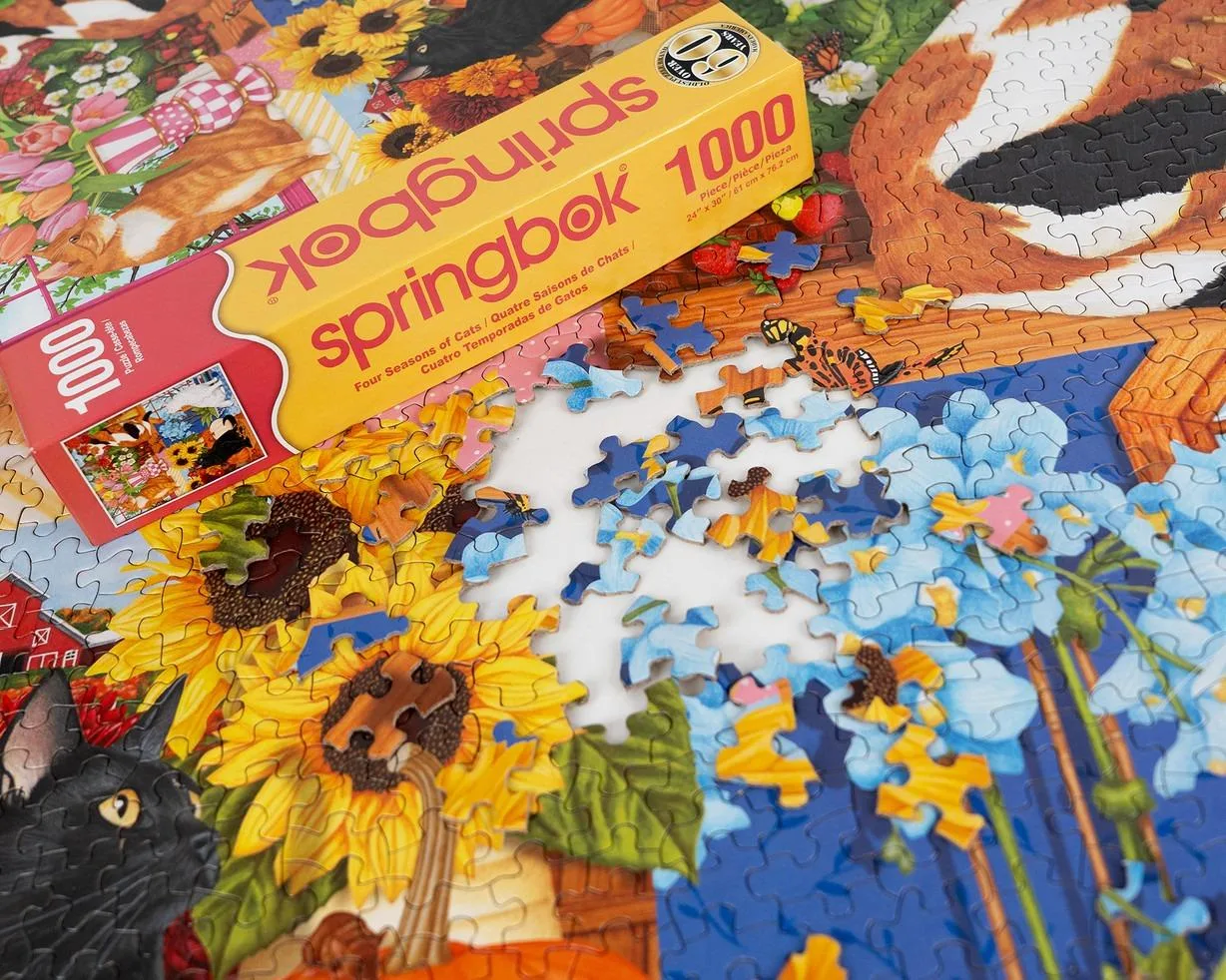 Four Seasons of Cats