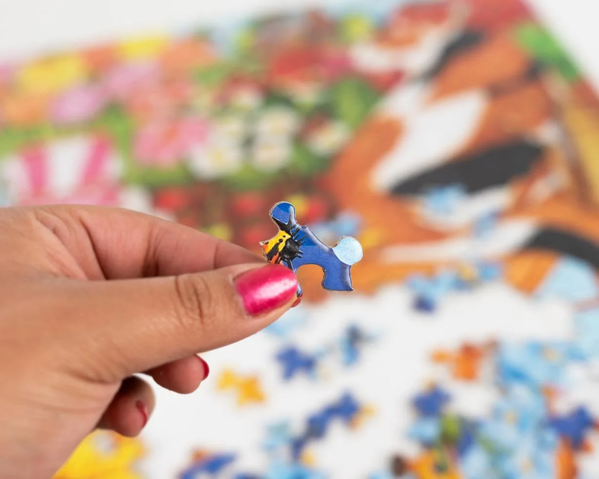 Four Seasons of Cats