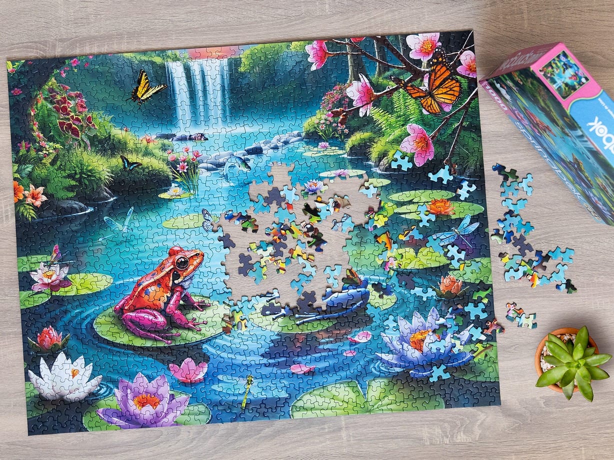 Lily Pond Paradise