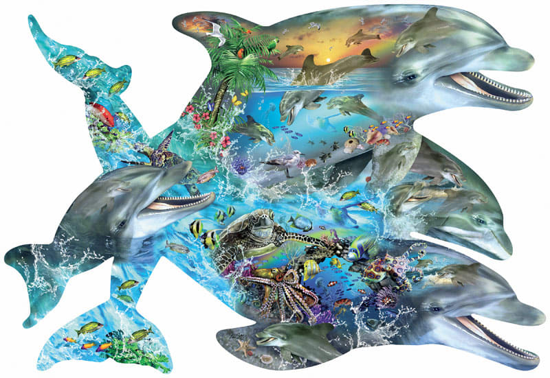 Song of the Dolphins - Scratch and Dent Sea Life