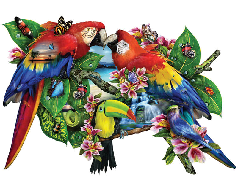 Parrots in Paradise Birds