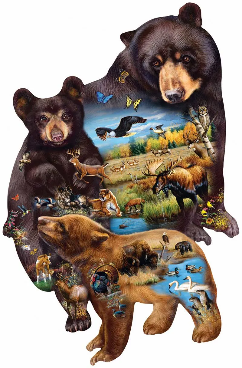 Bear Family Adventure Forest Animal
