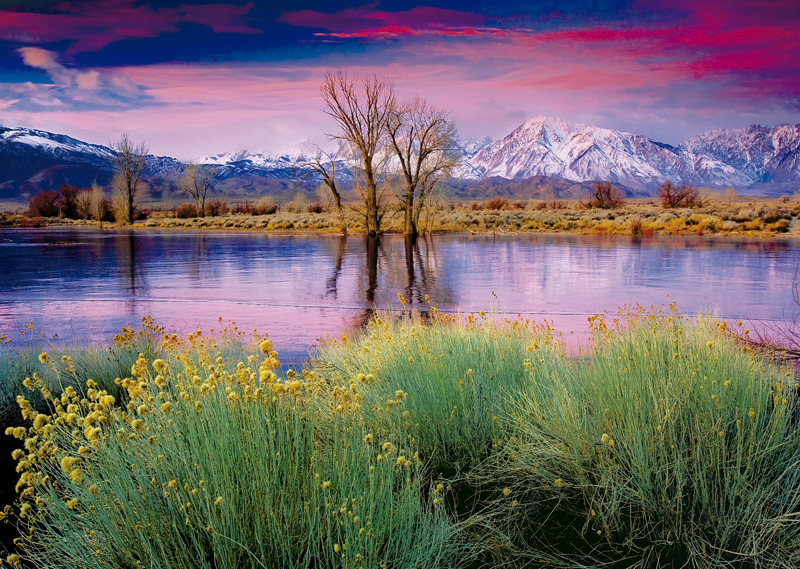 Summer's Surrender Mountain