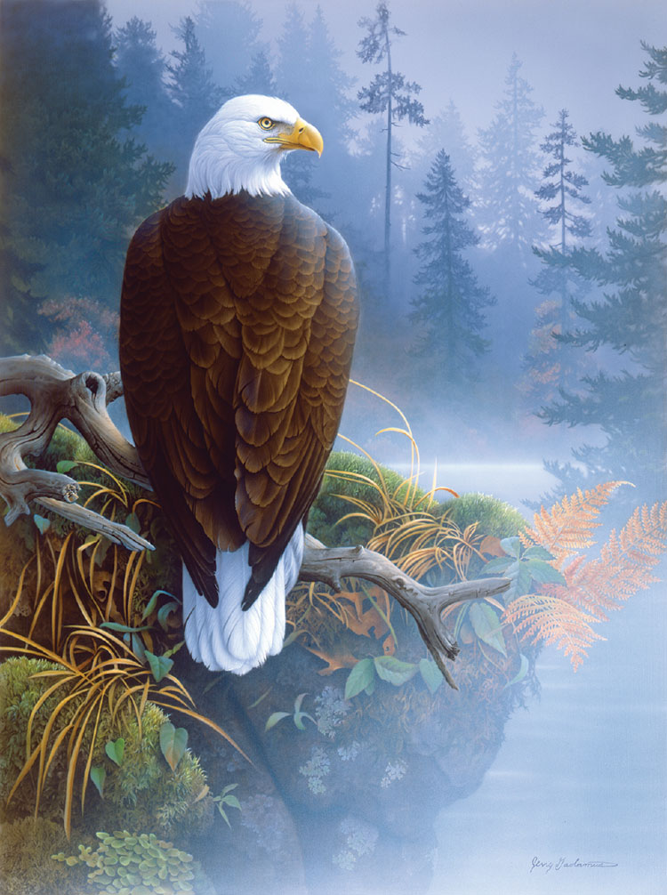 Eagle in the Mist Eagle Jigsaw Puzzle