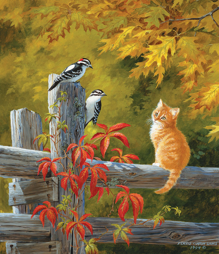 Observation Deck Countryside