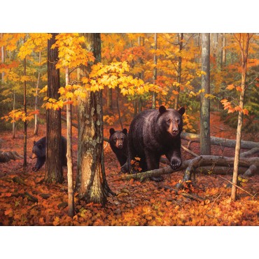 Many Faces of the Woods Forest Animal Jigsaw Puzzle