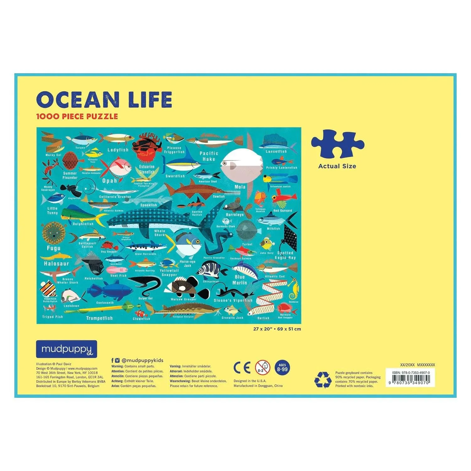 Ocean Life