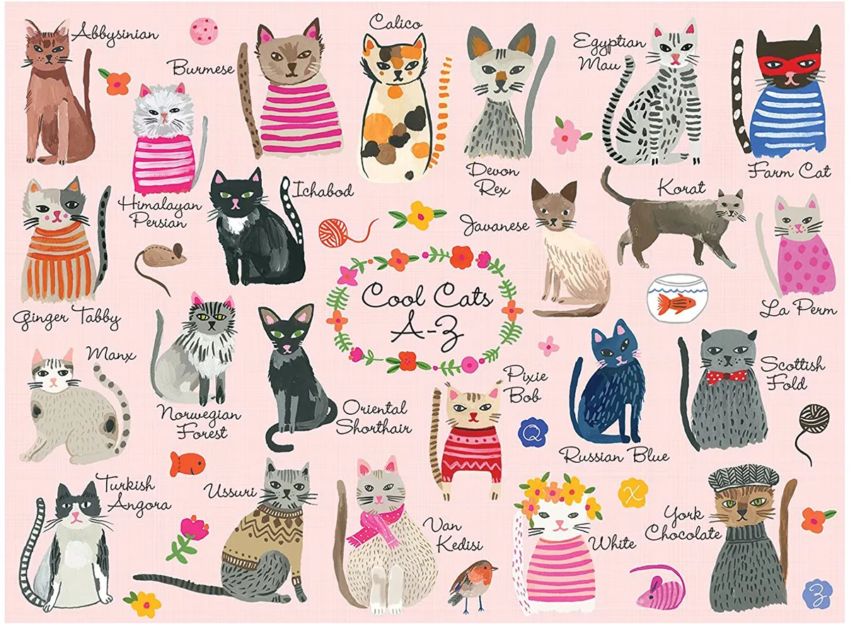 Cool Cats A-Z - Scratch and Dent Cats