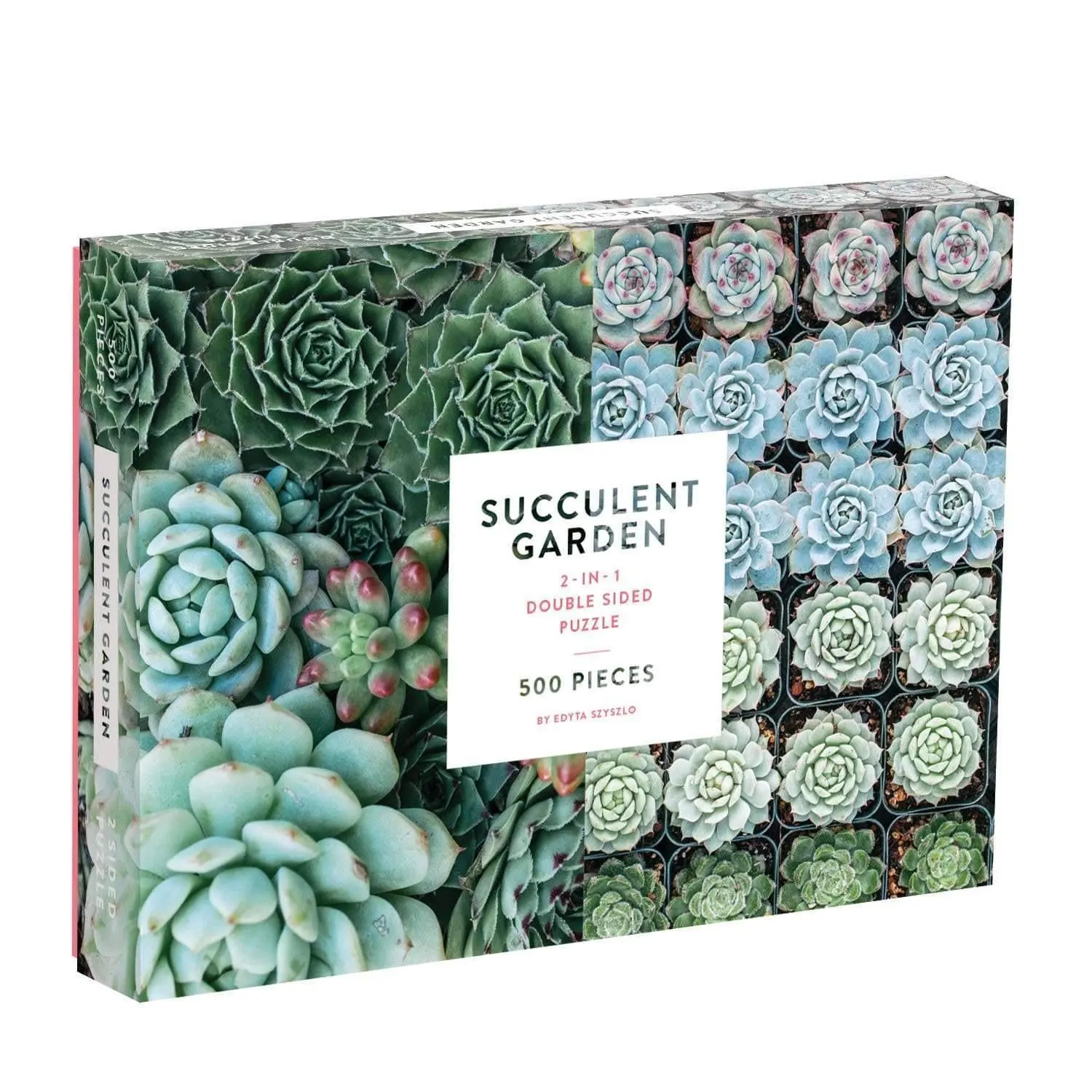 Succulent Garden Flower & Garden