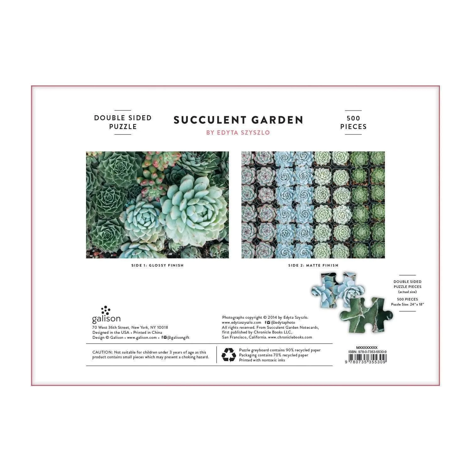 Succulent Garden