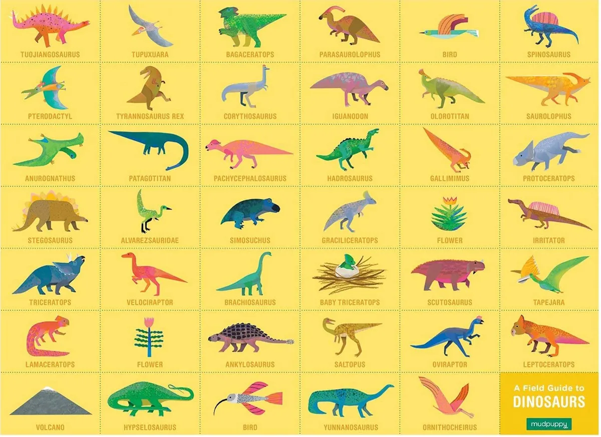 Dinosaurs Search & Find