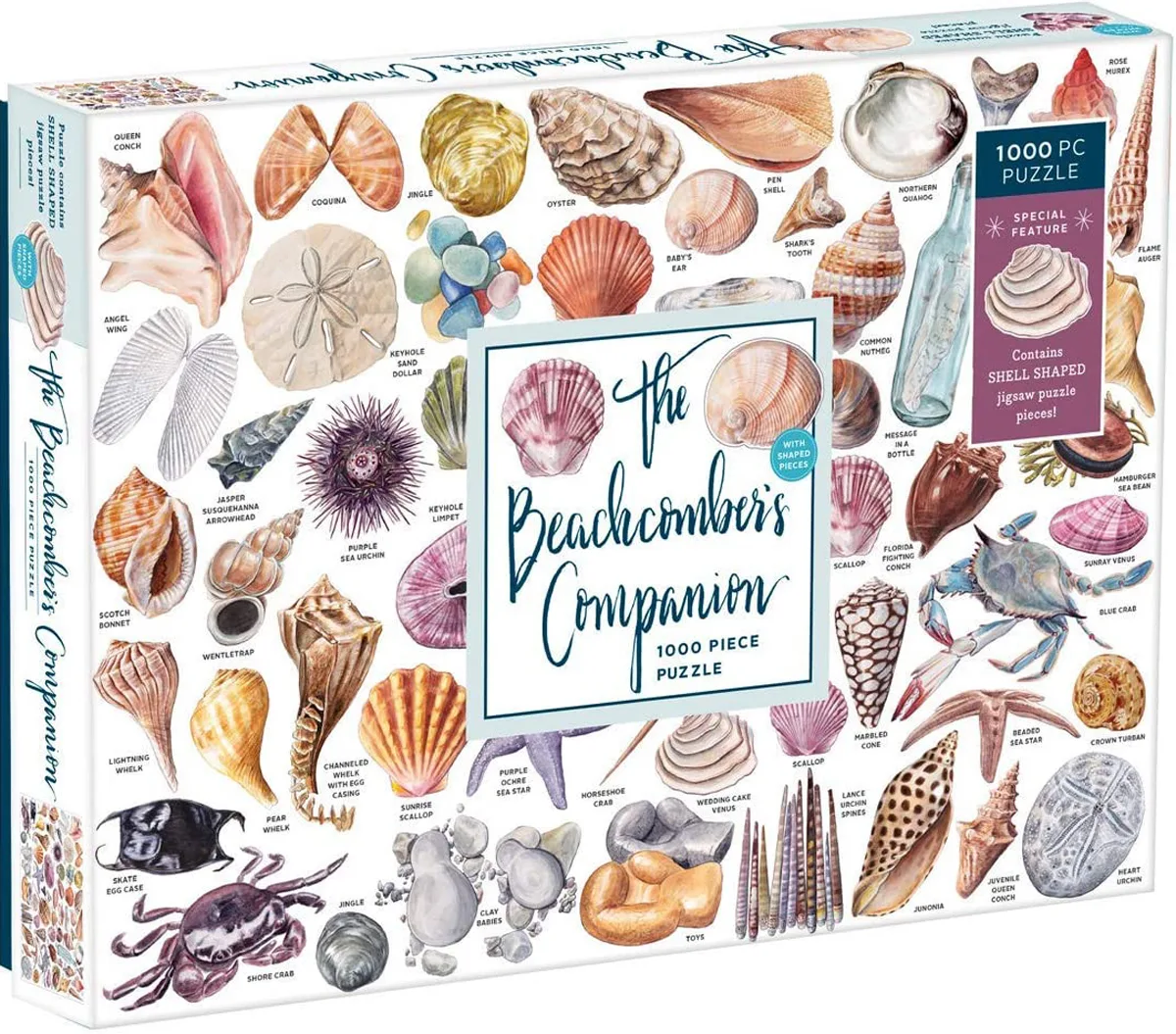 Beachcomber's Companion