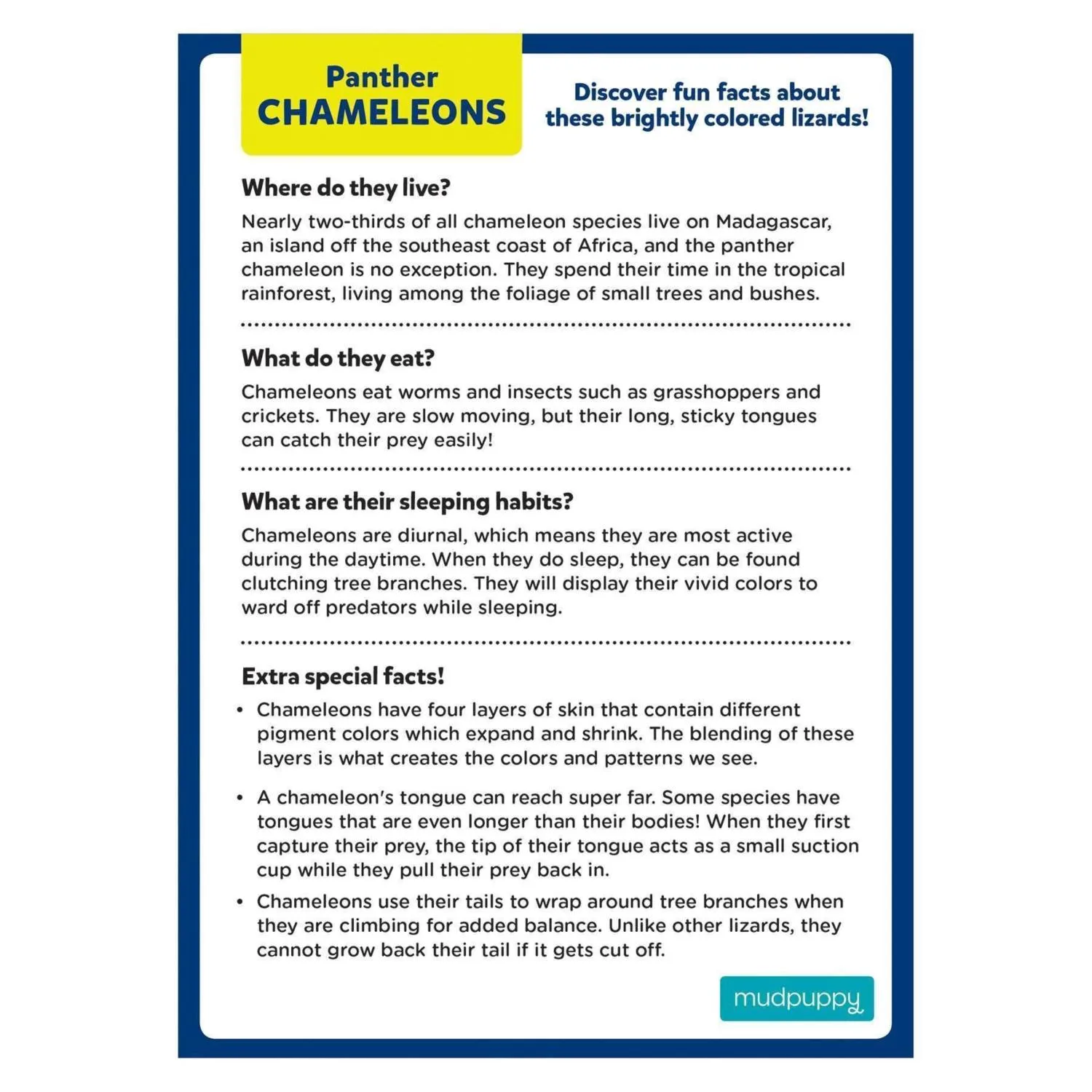 Panther Chameleon Mini Puzzle