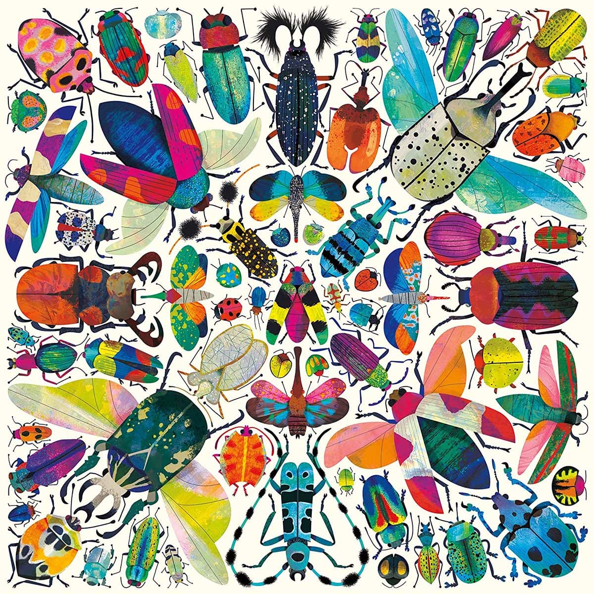 Kaleido Beetles Butterflies and Insects