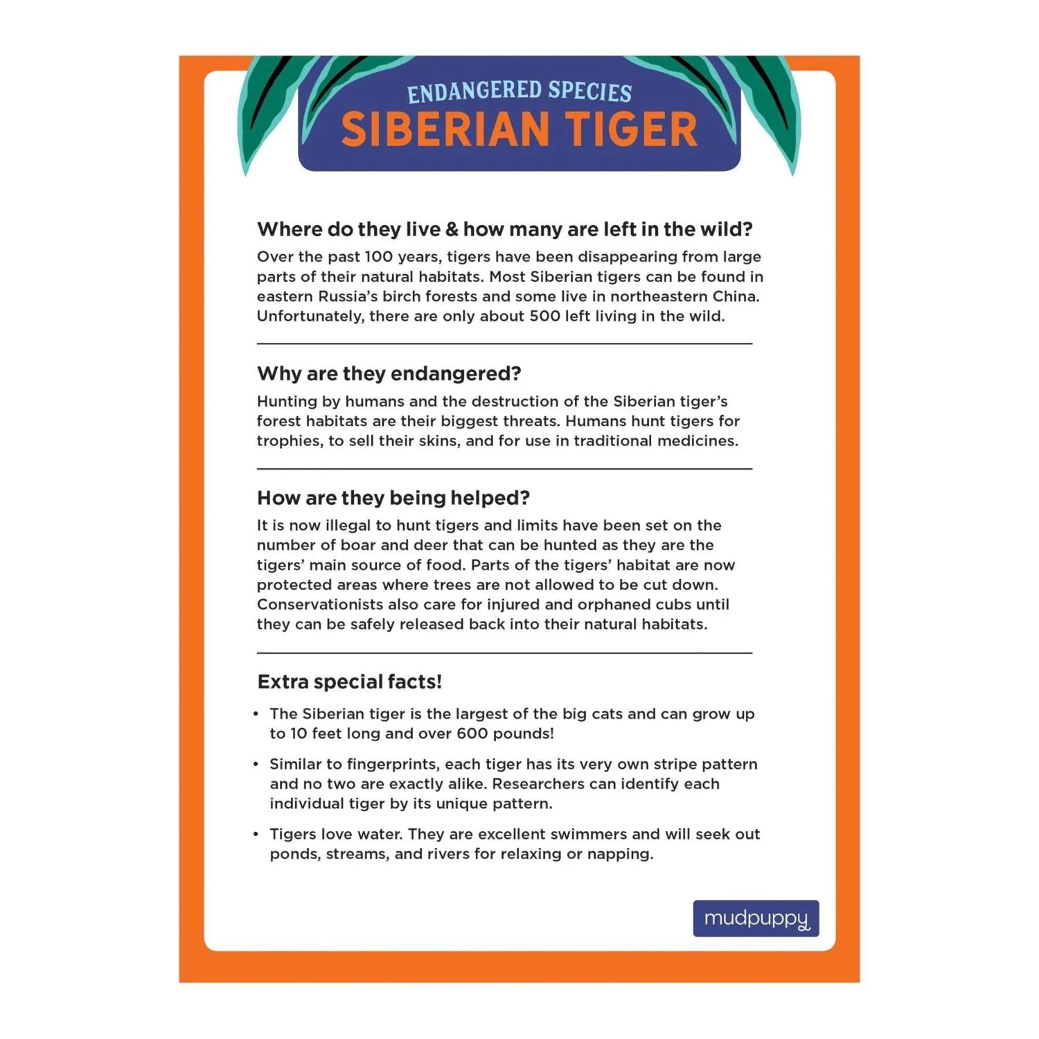 Siberian Tiger Endangered Species Puzzle