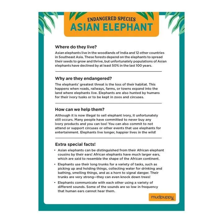 Asian Elephants Endangered Species Puzzle