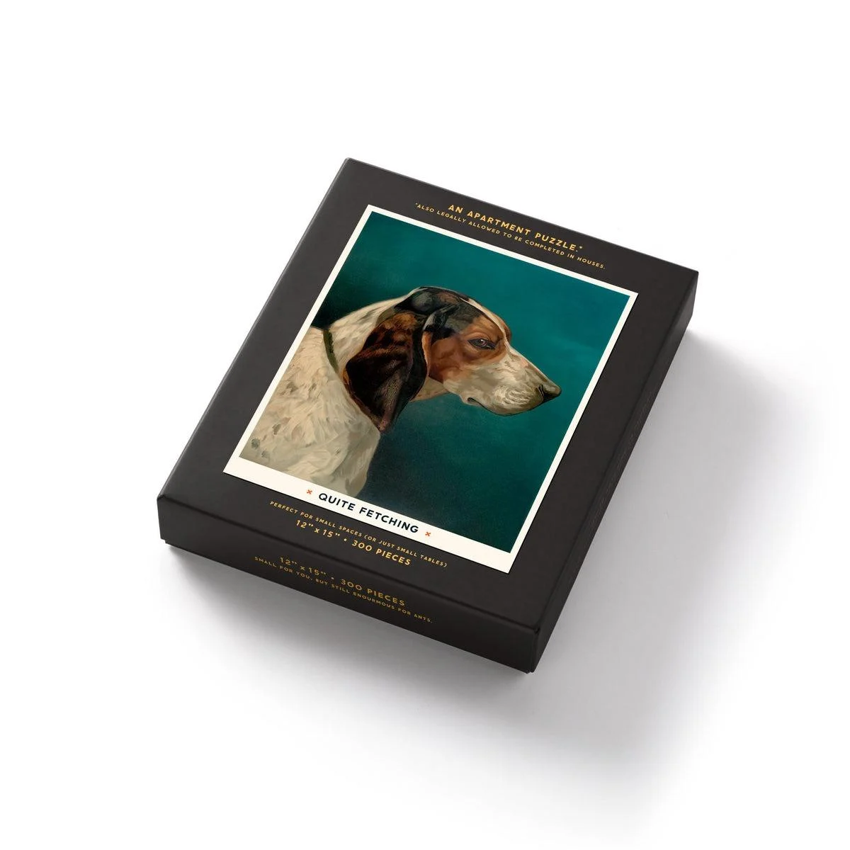 Quite Fetching Apartment Puzzle