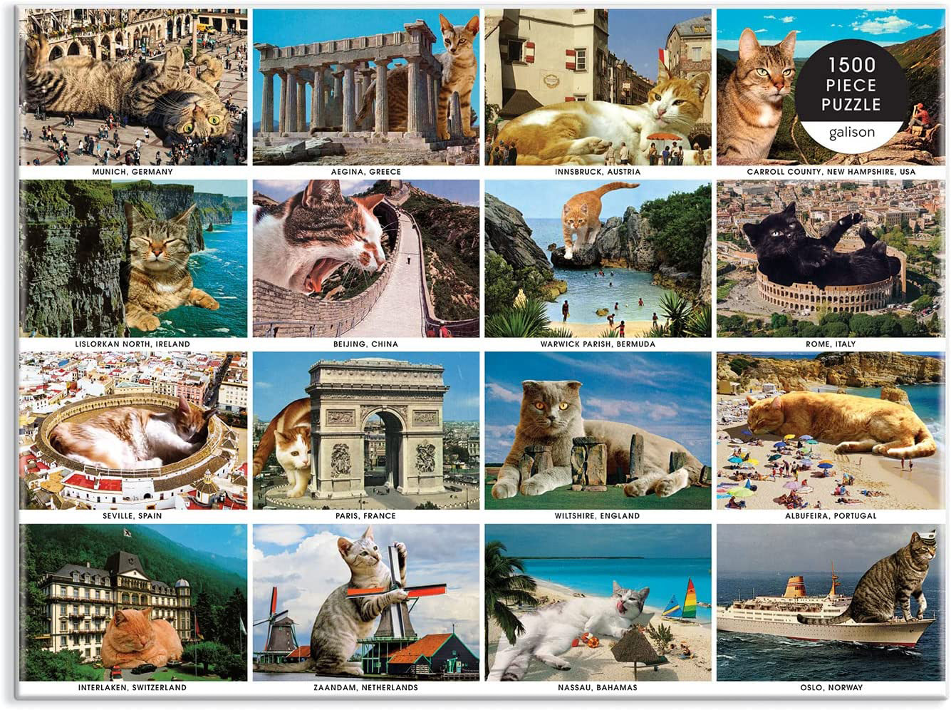 Vacation Cats Travel Jigsaw Puzzle