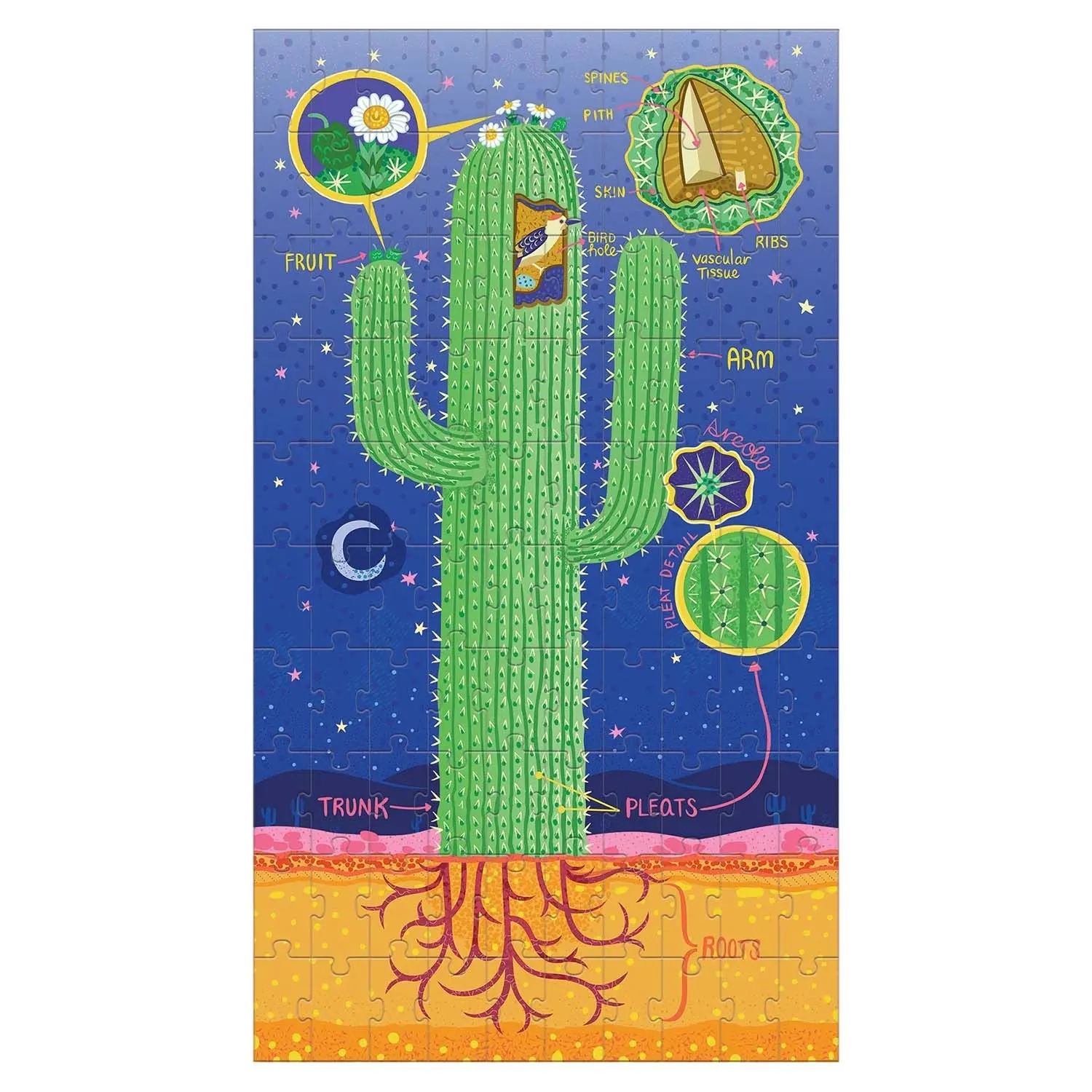 Puz Set Plant Anatomy