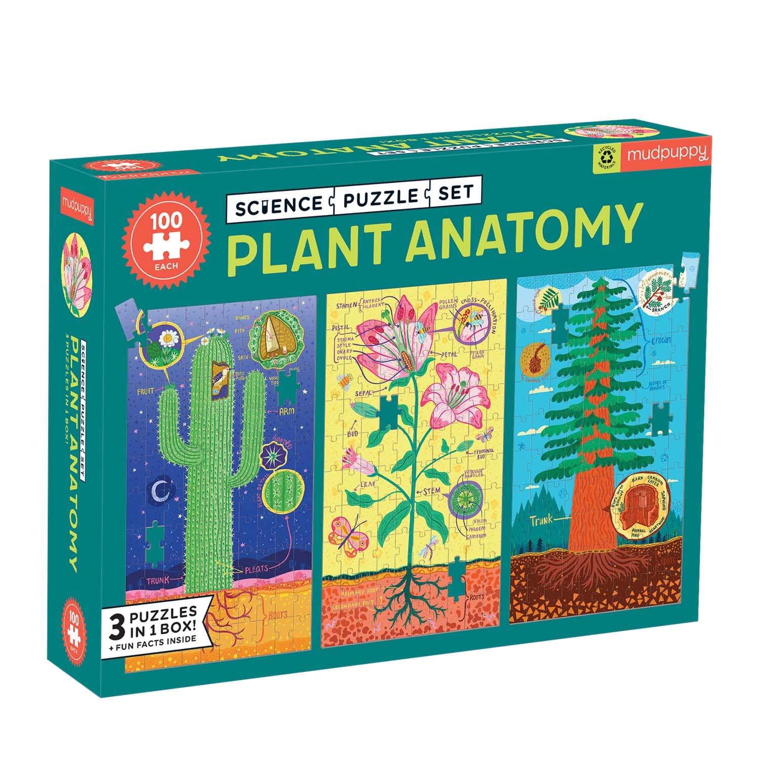 Puz Set Plant Anatomy Flower & Garden
